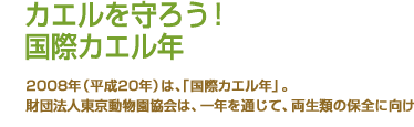 カエルを守ろう！　国際カエル年　2008年（平成20年）は、「国際カエル年」。財団法人東京動物園協会は、国際カエル年にあたり、両生類の保全に向けた活動を積極的に進めます。