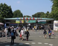 Zoo In Japan