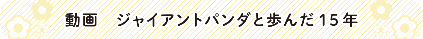 動画「ジャイアントパンダと歩んだ15年」
