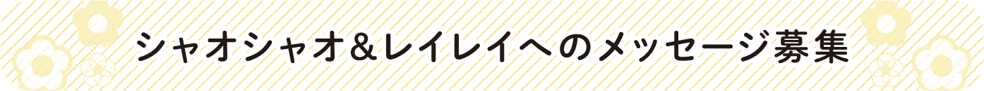 見出し:シャオシャオ&レイレイへのメッセージ募集