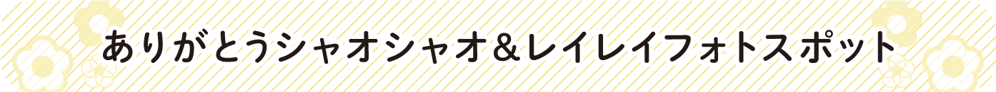 見出し:ありがとうシャオシャオ&レイレイフォトスポット