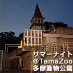 サマーナイト@TamaZoo多摩動物公園