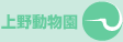 ��쓮����