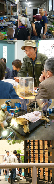 サイエンズーカフェ 参加者募集 東京ズーネット