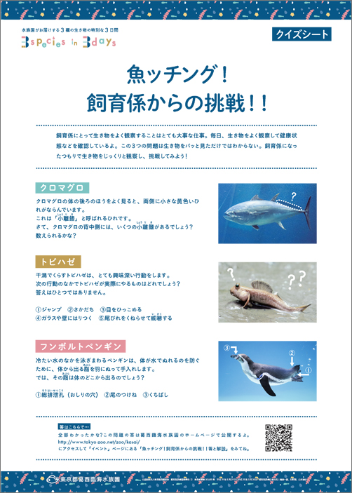 魚ッチング 飼育係からの挑戦 答と解説 東京ズーネット