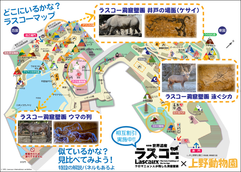 国立科学博物館 世界遺産 ラスコー展 と上野動物園のコラボ企画について 東京ズーネット