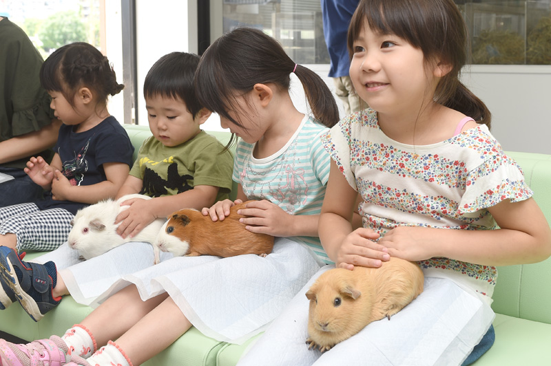 令人興奮的基地 - 上野動物園