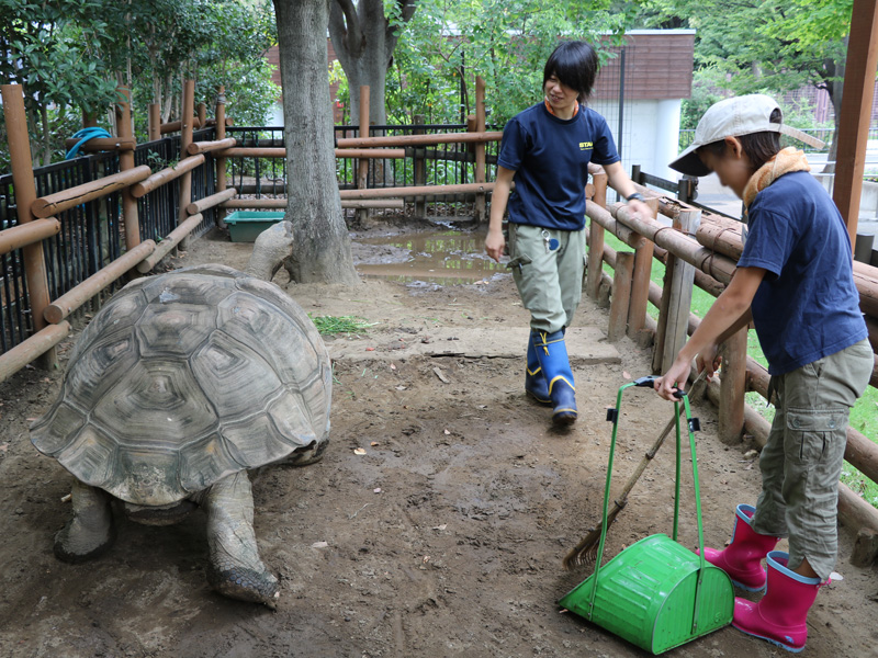 サマースクール 5 6年生クラス 動物園のお仕事発見コース を開催しました 東京ズーネット
