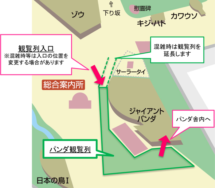 最新 ジャイアントパンダの観覧方法について 東京ズーネット