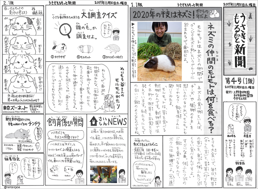 子ども動物園 うさぎ もるもっと新聞 第4号を発行しました 東京ズーネット