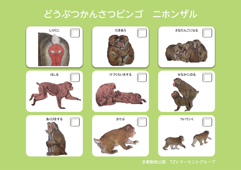 1 25 いっしょに動物かんさつ 1月は日本の動物 ニホンザル ニホンカモシカ 東京ズーネット