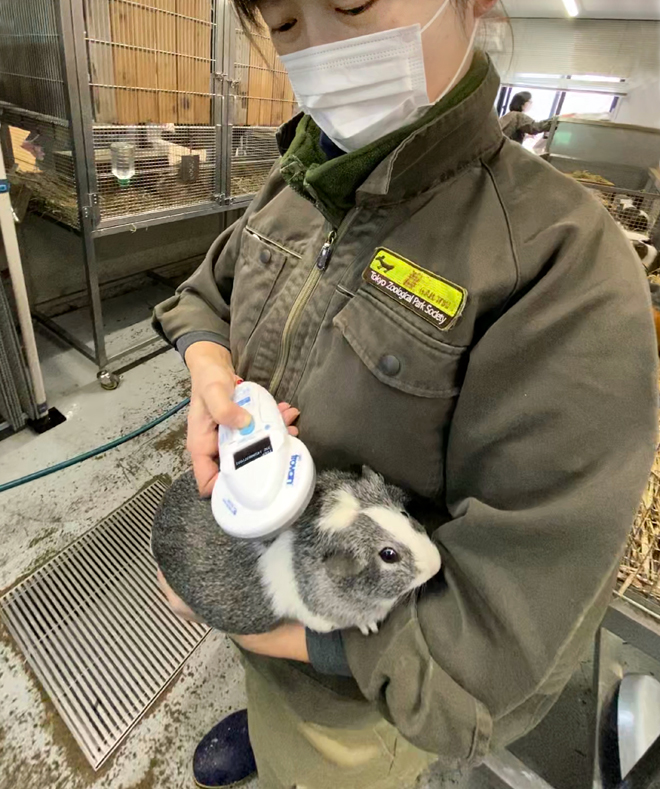 子ども動物園 うさぎ もるもっと新聞 第5号を発行しました 東京ズーネット