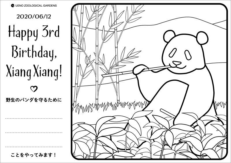 みんなでいっしょに祝おう 考えよう シャンシャン3歳記念パンダアクション 東京ズーネット