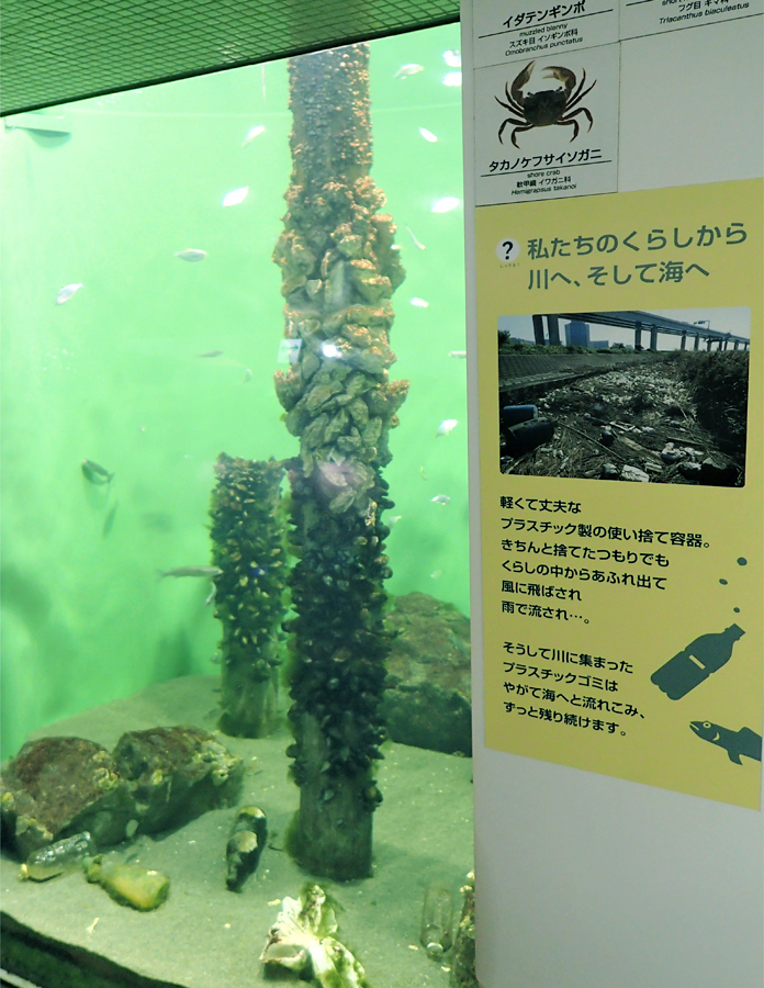 どうして水槽の中にゴミがあるの 東京湾 運河 水槽 東京ズーネット