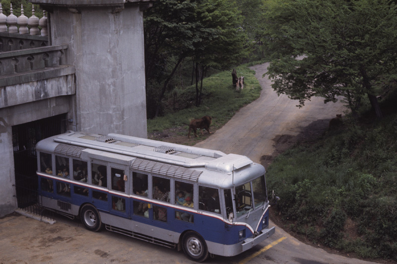 多摩動物公園 ライオンバス 使用済みのチケット 通販