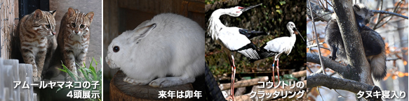 動画サムネイル４点
