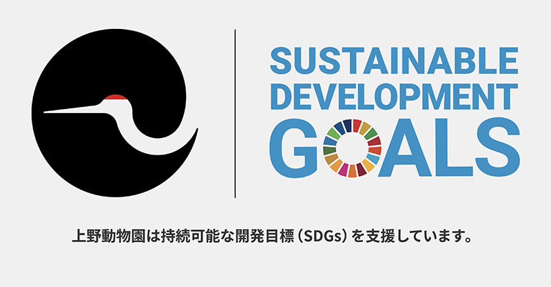 SDGsの取組み