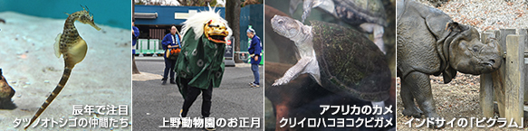 動画サムネイル4点