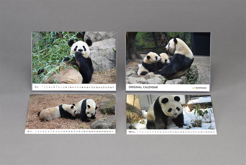 上野動物園 公式シンシンポストカード 販売終了 入手困難 竹でできた 