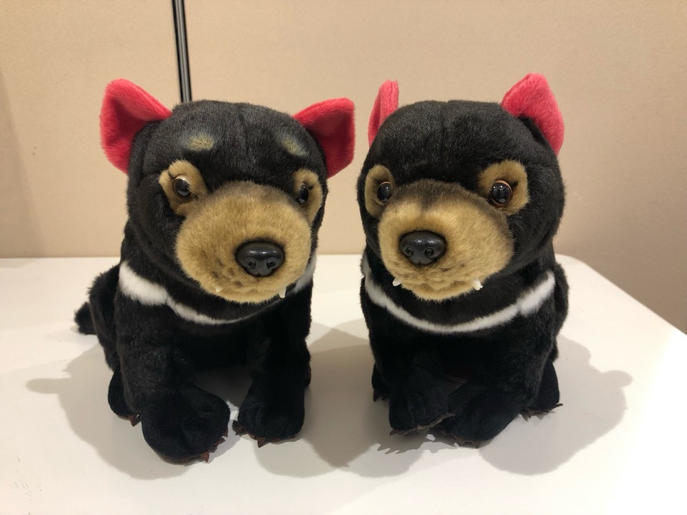 ぬいぐるみ タスマニアデビル』に関するお詫びとお知らせ | 東京動物園協会