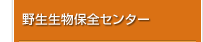 野生生物保全センター