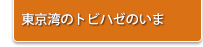 東京湾のトビハゼのいま