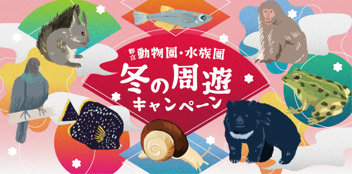 冬の周遊キャンペーン