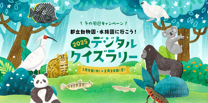 2025年 冬の周遊キャンペーン