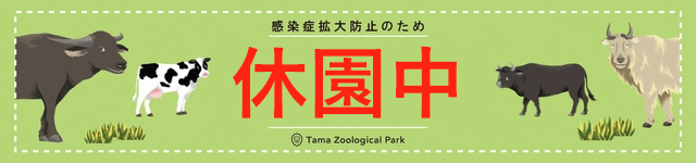 多摩動物公園公式サイト 東京ズーネット 多摩動物公園公式サイト 東京ズーネット
