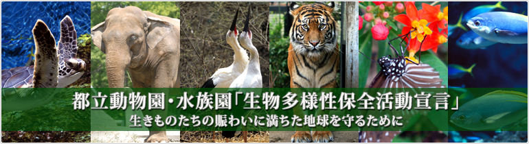 都立動物園・水族園「生物多様性保全活動宣言」