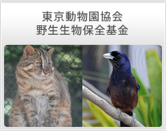 東京動物園協会 野生生物保全基金