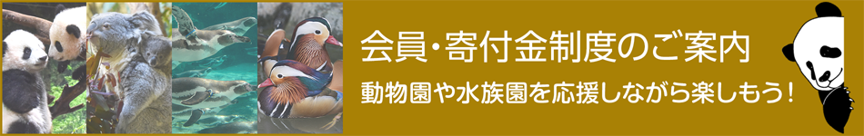 会員・寄付金制度のご案内