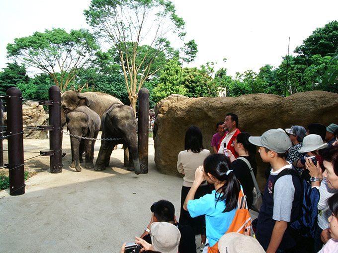 上野動物園見学会のようす