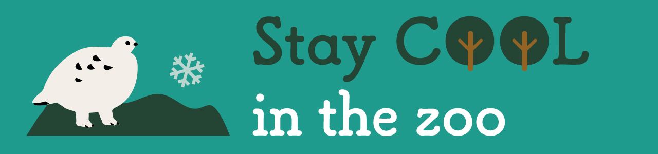 Stay Cool in the Zoo