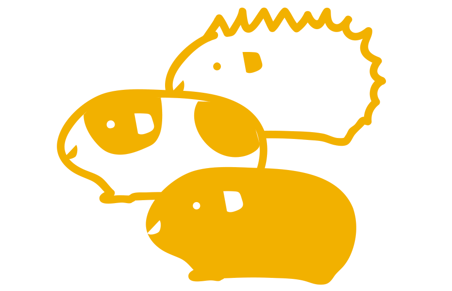 説明文