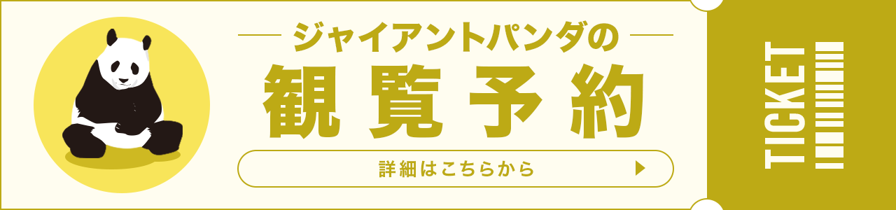 申込サイトのバナー