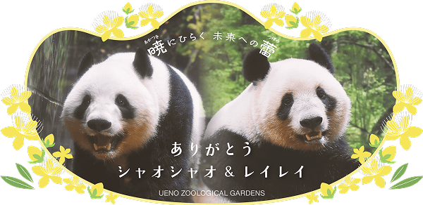 暁にひらく 未来への蕾 ありがとう シャオシャオ & レイレイ UENO ZOOLOGICAL GARDENS