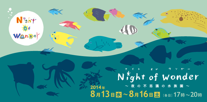 Night of Wonder バナー