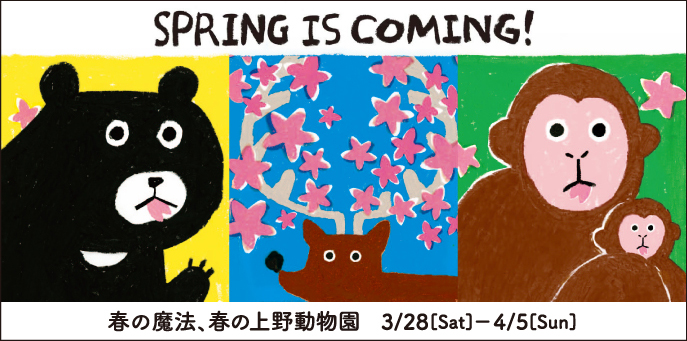 春の魔法、春の上野動物園!
