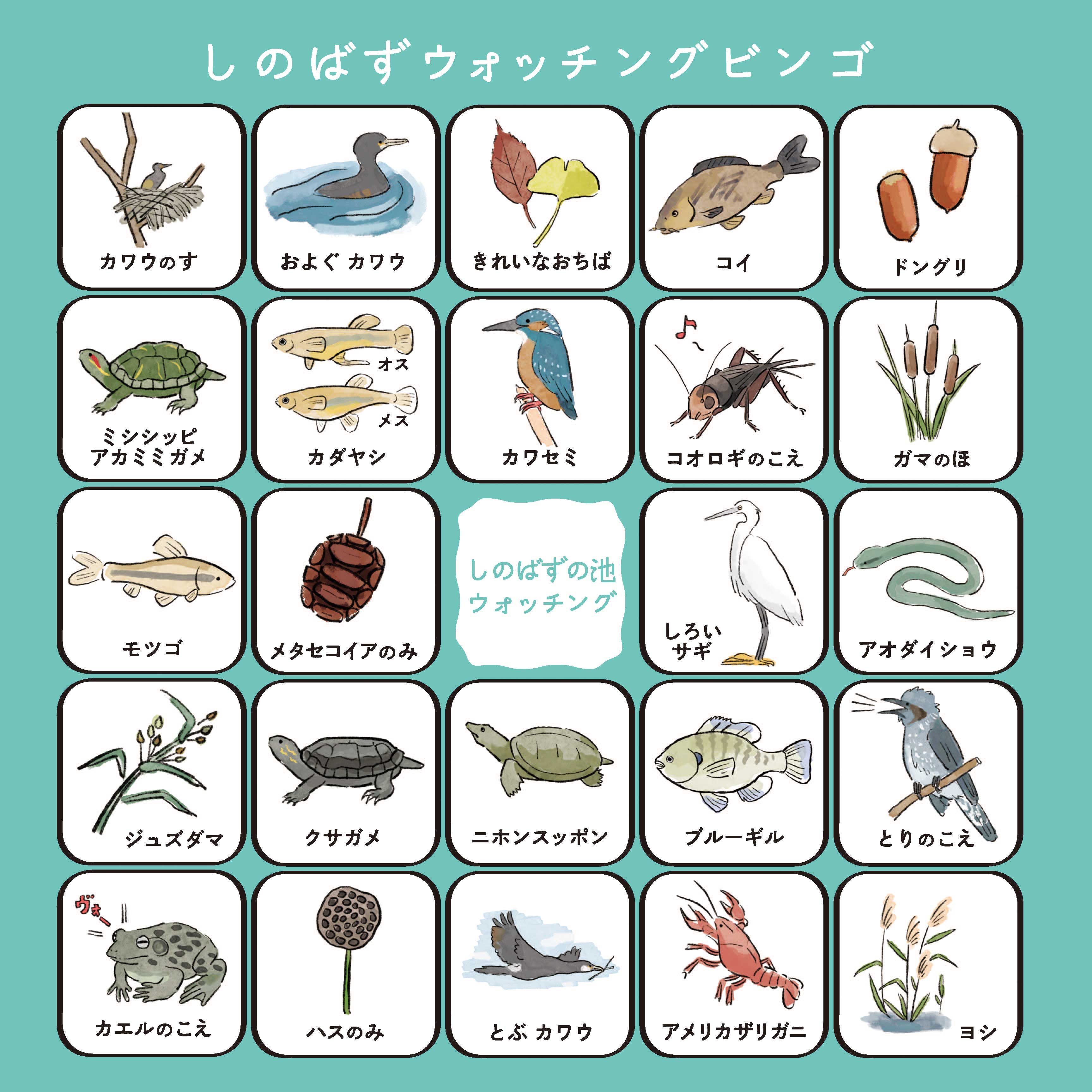 しのばずウォッチングビンゴ