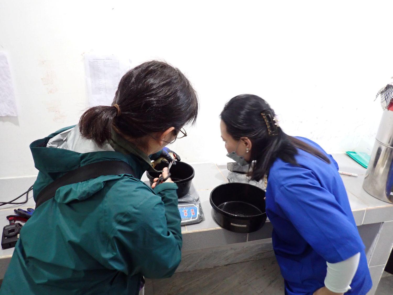 養殖魚の冷凍処理に関して現地スタッフに説明