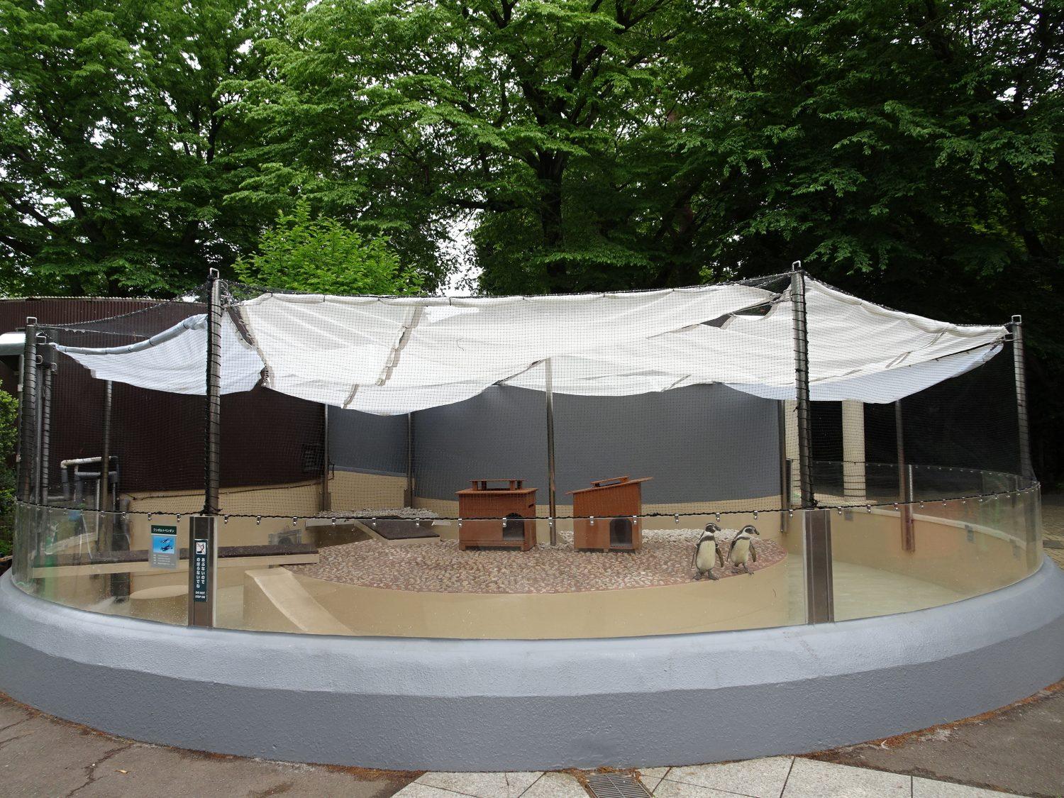 リニューアル後のペンギンの展示場
