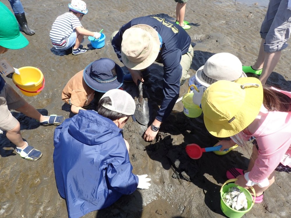 子どもたちが葛西臨海水族園の職員といっしょに、干潟でバケツやスコップを手に泥を掘って生き物を探しているようす。