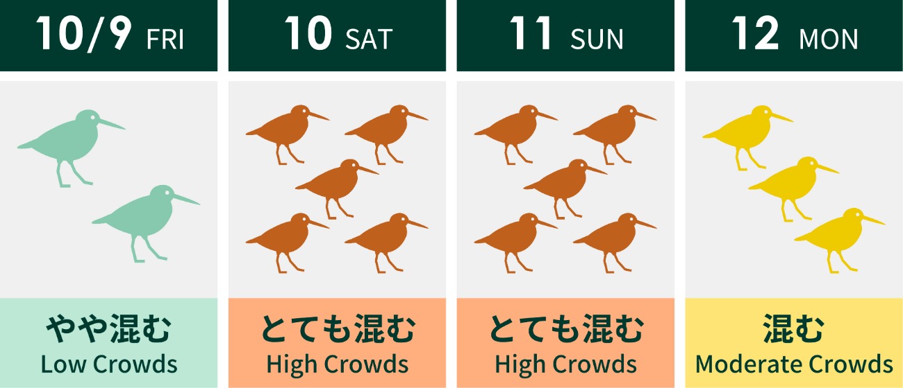 4日間の混雑度を現したイラスト。左から10月9日金曜日、10日土曜日、11日日曜日、12日月曜日。10月9日はやや混む、10月10日と11日はとても混む。10月12日は混む。混雑するほど鳥の数が増えるイラスト