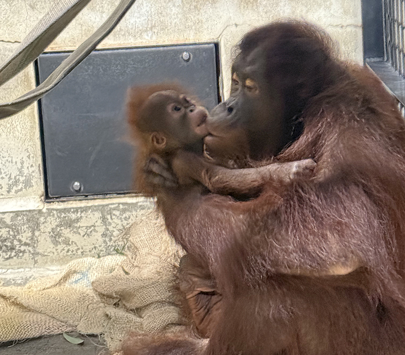 ロキとキーボー（2025年10月15日撮影）