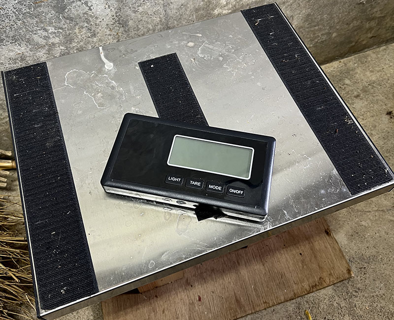 マジックテープを貼りつけた体重計