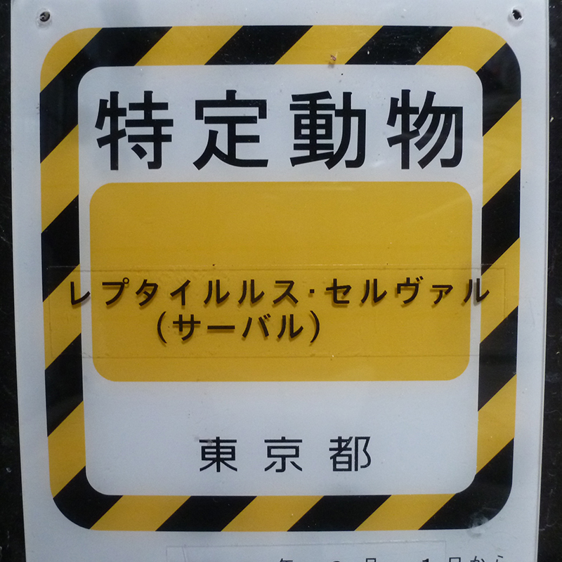 特定動物の施設にはそれぞれの許可書が掲示してあります