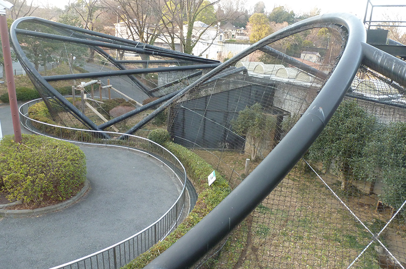 2つの放飼場と寝室棟。寝室棟には個室が6部屋あります