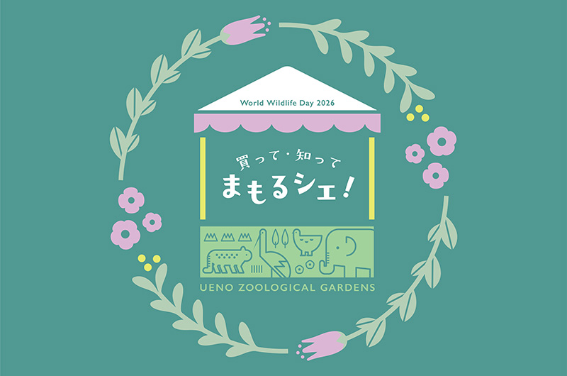 世界野生生物の日イベント　メインビジュアル
