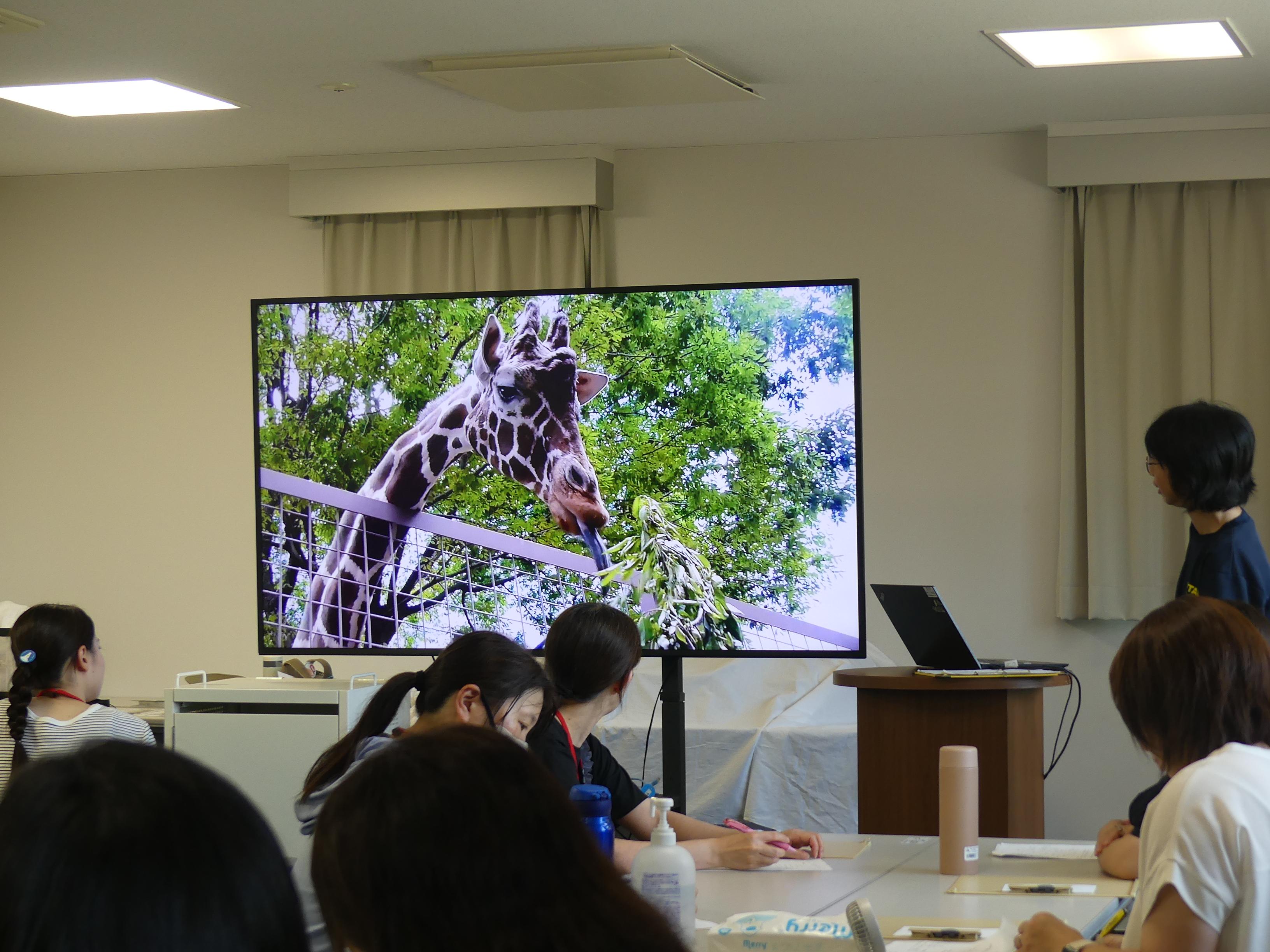 教育機関との連携